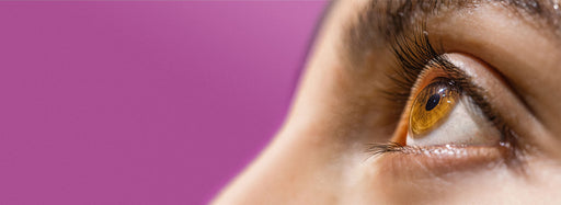 Anterior Blepharitis